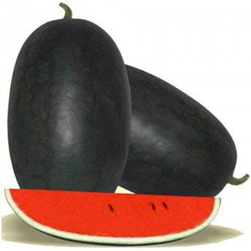 Watermelon - Tarbooz (Approx 3Kg -  3.5Kg)